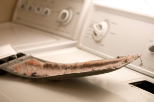 maintaining your dryer